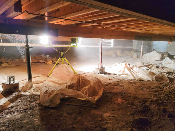 Ensure Long-Term Safety with Comprehensive Basement and Crawl Space Services