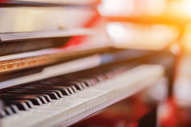 Experience Excellence at Louisiana Academy of Performing Arts Mandeville